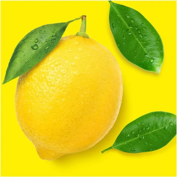 Meister-Proper Allesreiniger Citrusfrische 1 Liter 5
